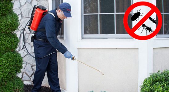 Mihalıççık Hamam Böceği İlaçlama böcek ilaçlama ve haşere kontrolü — ilaclama-tr.com